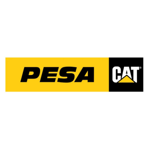 Pesa CAT